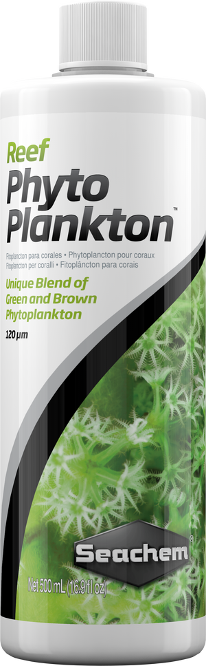 Phyto Plankton