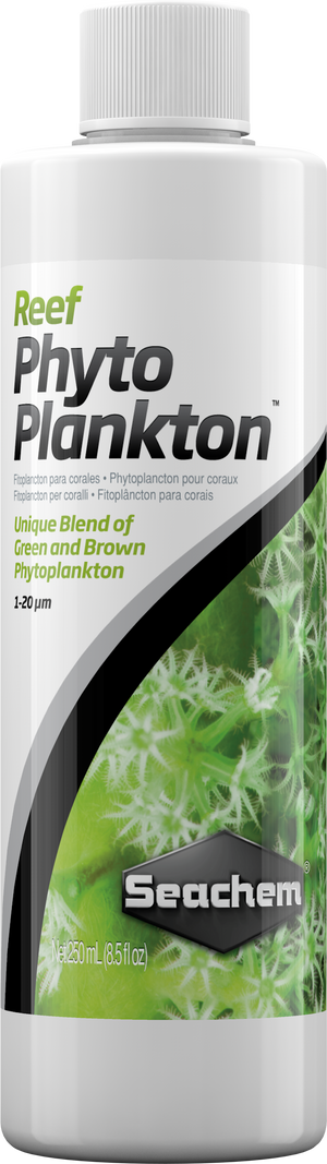 Phyto Plankton