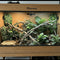Enclosures & Travel