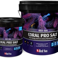 Collection image for: Salt
