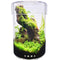 Terrariums