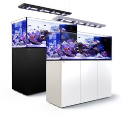 Collection image for: All-in-one systems