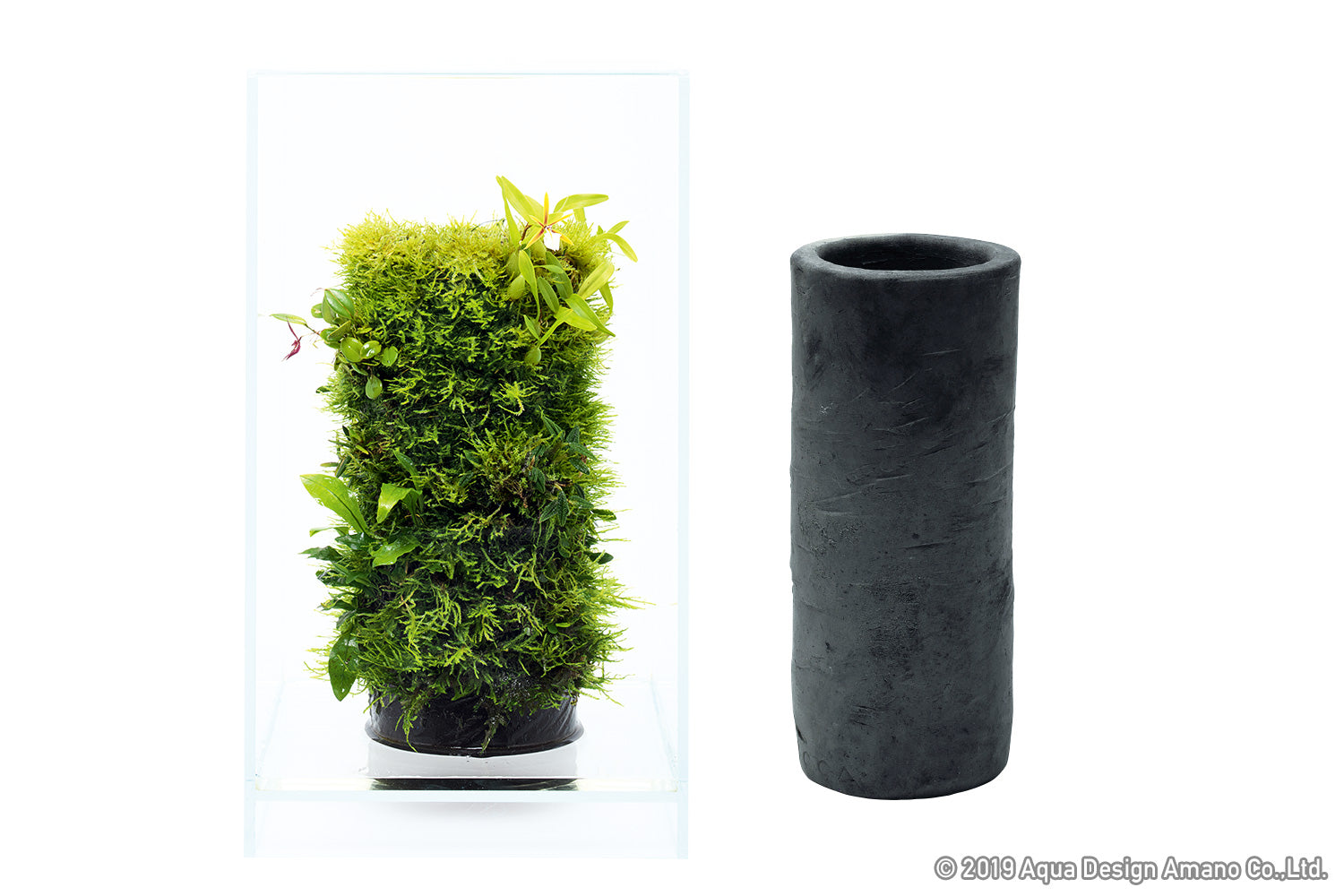 Terrarium Accessories