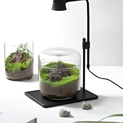 Collection image for: Terrarium Lights