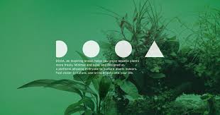 Dooa