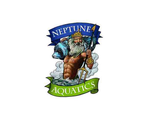 Collection image for: Neptune