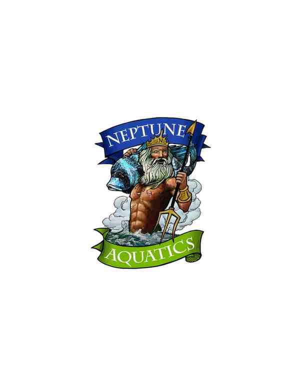 Neptune