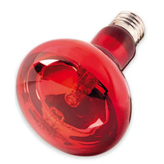 Collection image for: Lighting & Climate Control