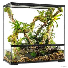 Collection image for: Paludariums
