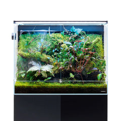 Collection image for: Terrariums