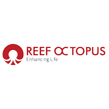 Reef Octopus