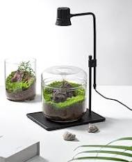 Terrarium Lights