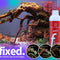Water Clarity & Algae Control