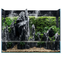 Collection image for: Paludariums