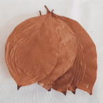 NatureBoys Persimmon Leaves