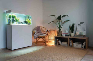 Aquael OPTI SET 240 Aquarium {Tank Only}
