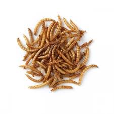 Giangarden Dried Mealworms