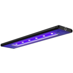 Animal Water III 紫色 LEDライト付き AQUA ILLUMINATION BLADE GLOW - Dorry Pets