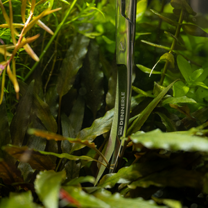 Dennerle Plant Scissor