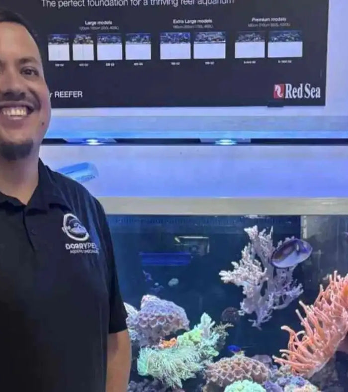<h1><strong>Let the Experts </strong></h1><h1><strong>Design & Maintain Your Dream Aquarium!</strong></h1><h1></h1><h1></h1>