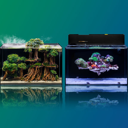 UNS Dual All-In-One Standard 60A Marine Setup { ATO Chamber & Skimmer Included }