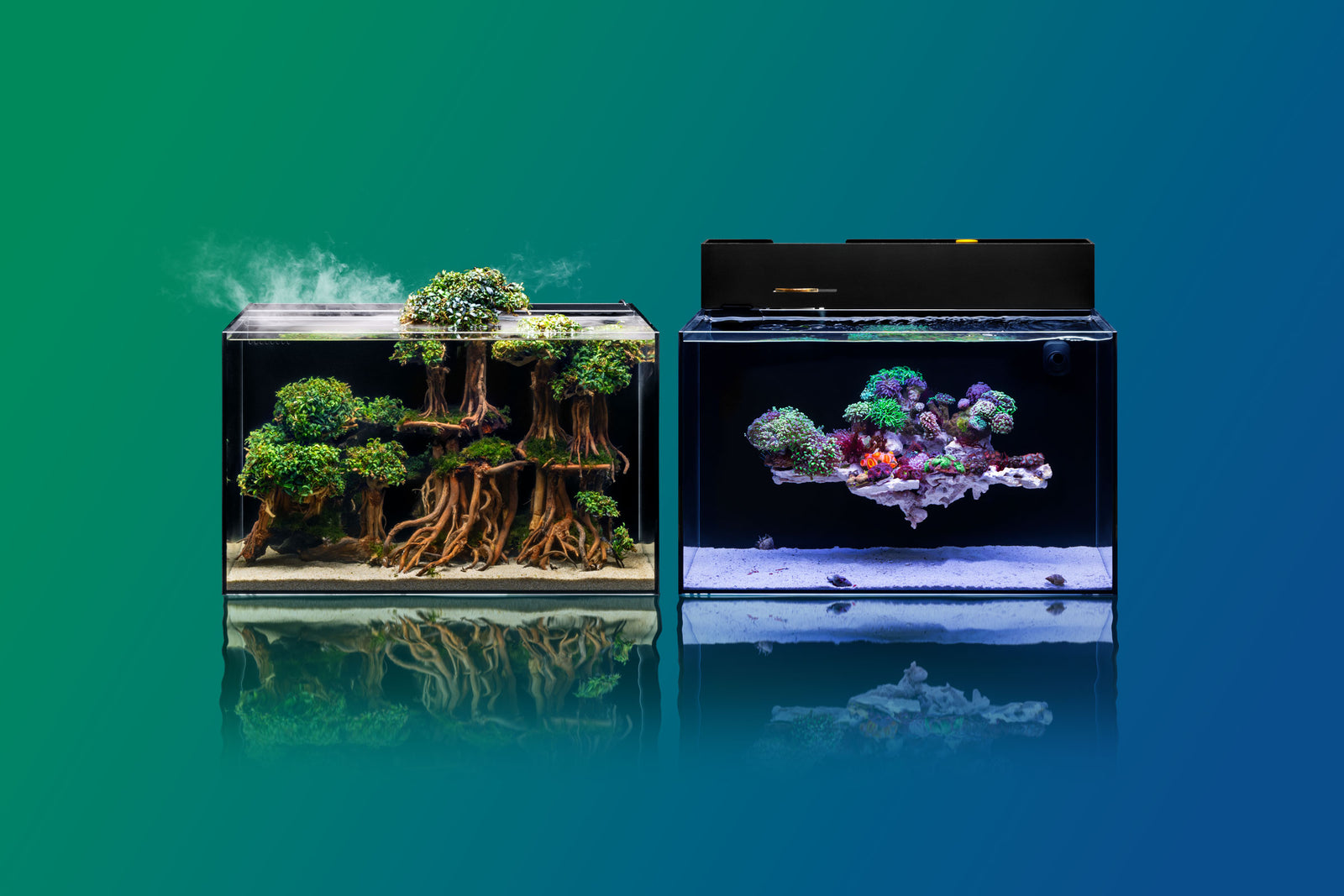 UNS Dual All-In-One Standard 60A Marine Setup { ATO Chamber & Skimmer Included }