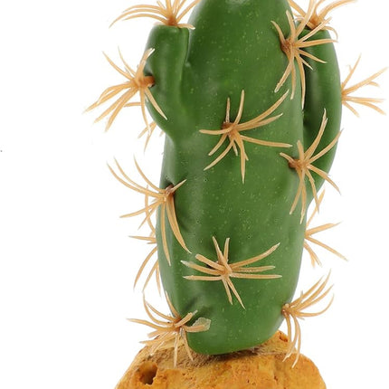 Nomoy Cactus Plants (QM)