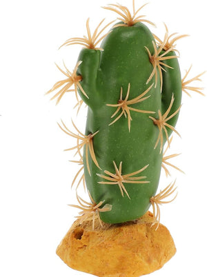 Nomoy Cactus Plants (QM)