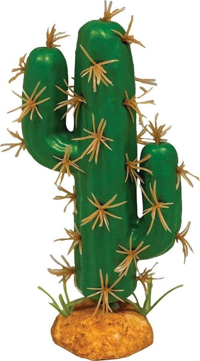 Nomoy Cactus Plants (QM)