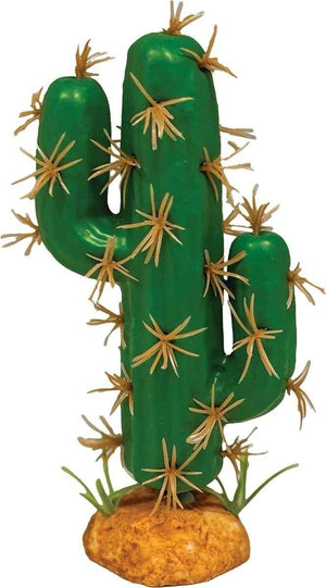Nomoy Cactus Plants (QM)