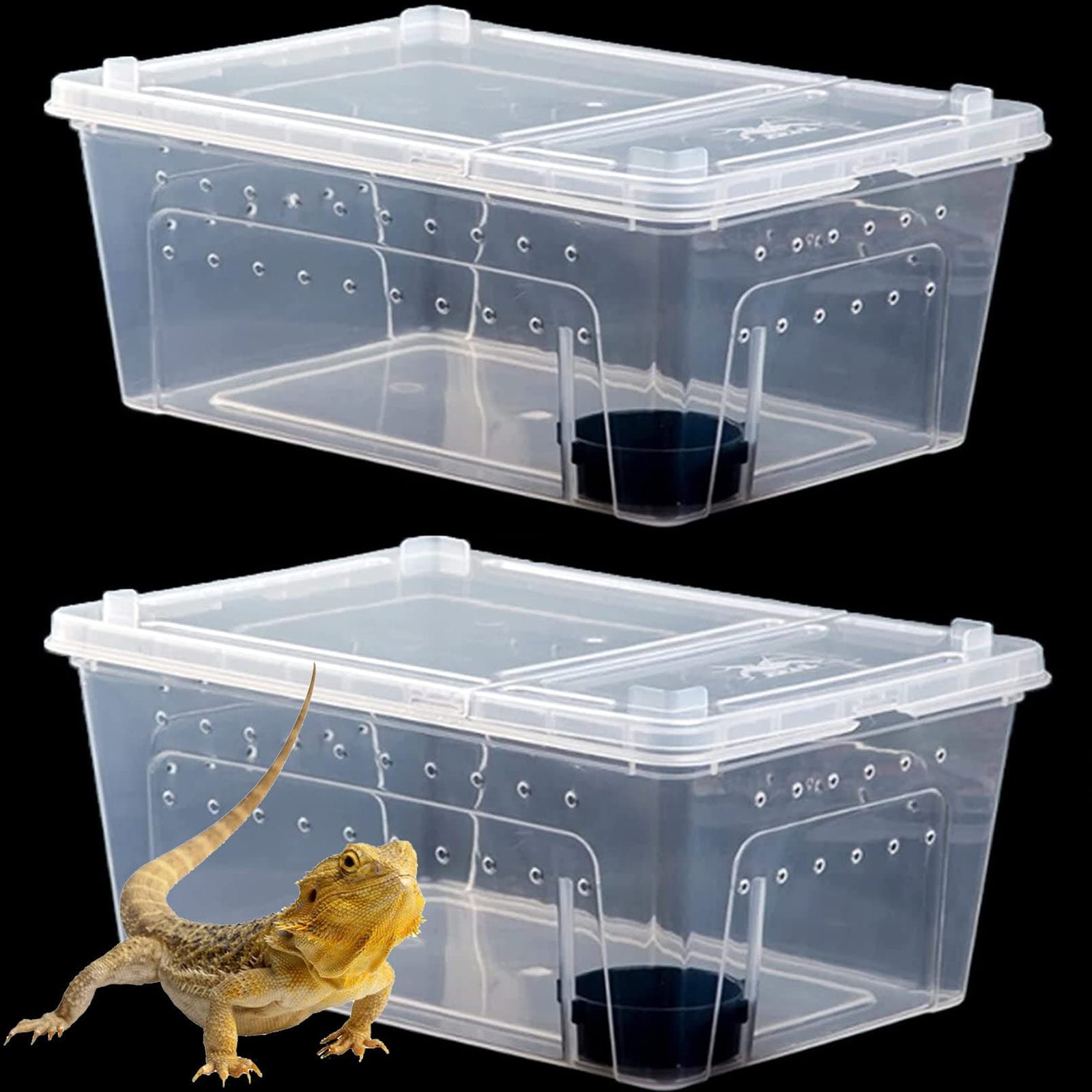 Giangarden Reptile Packing Box (10pcs)