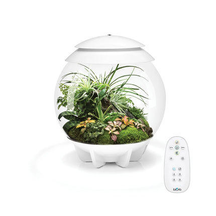 OASE BIORB AIR Terrarium