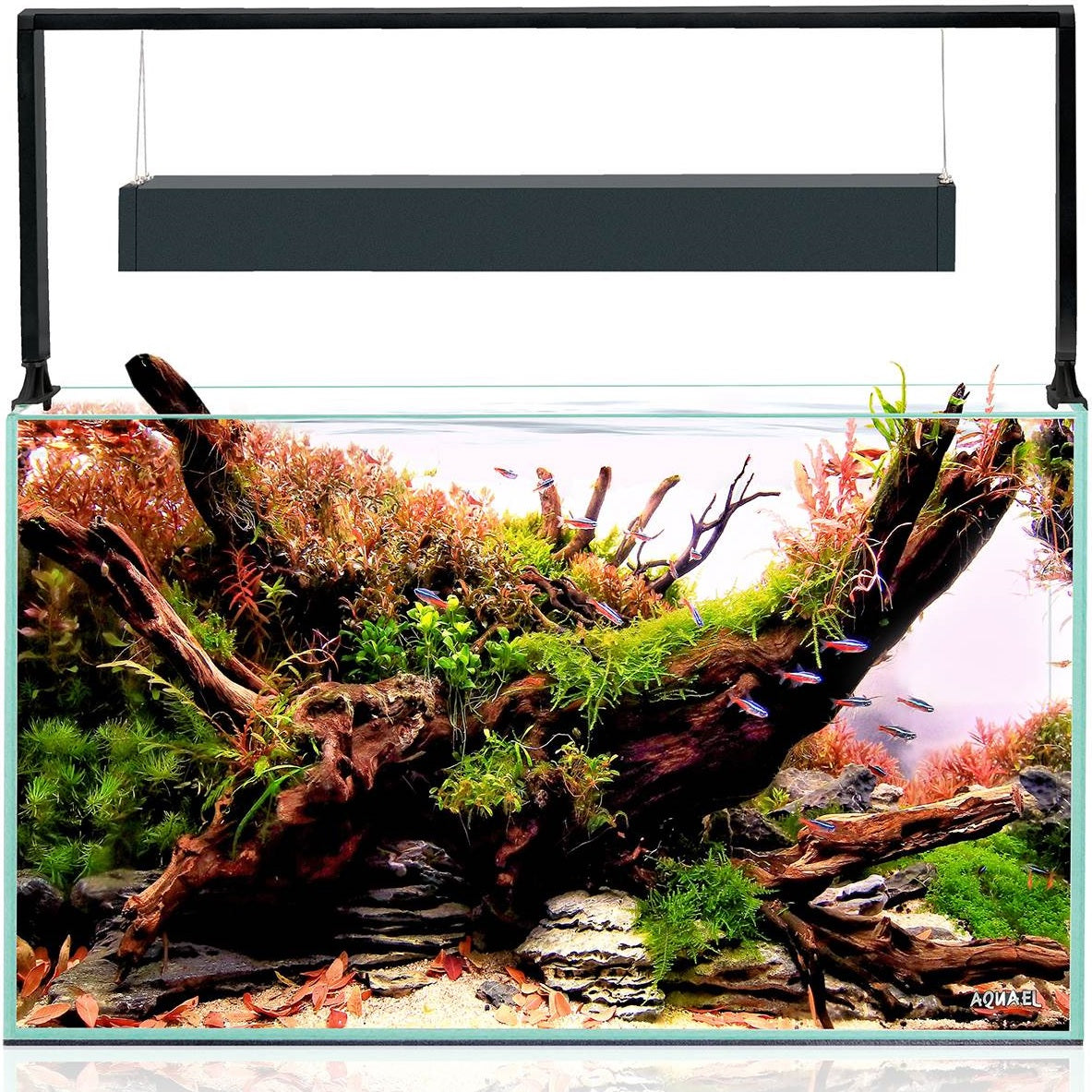 Aquael UltraScape 60 Aquarium Set