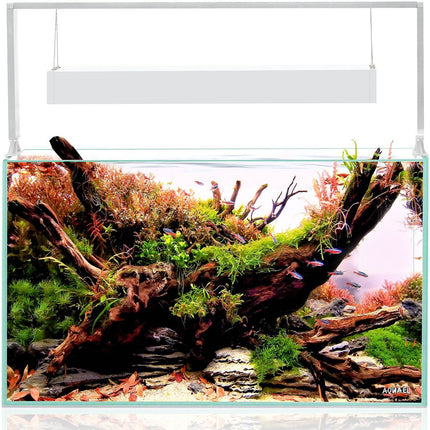 Aquael UltraScape 60 Aquarium Set