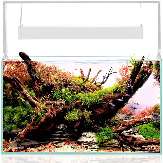 Aquael UltraScape 60 Aquarium Set