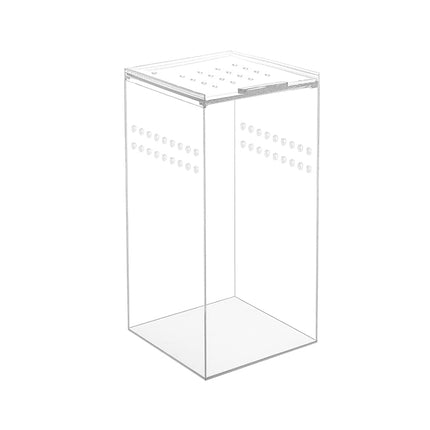 Arboreal Acrylic Box
