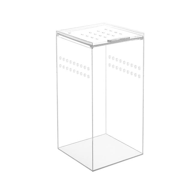 Arboreal Acrylic Box