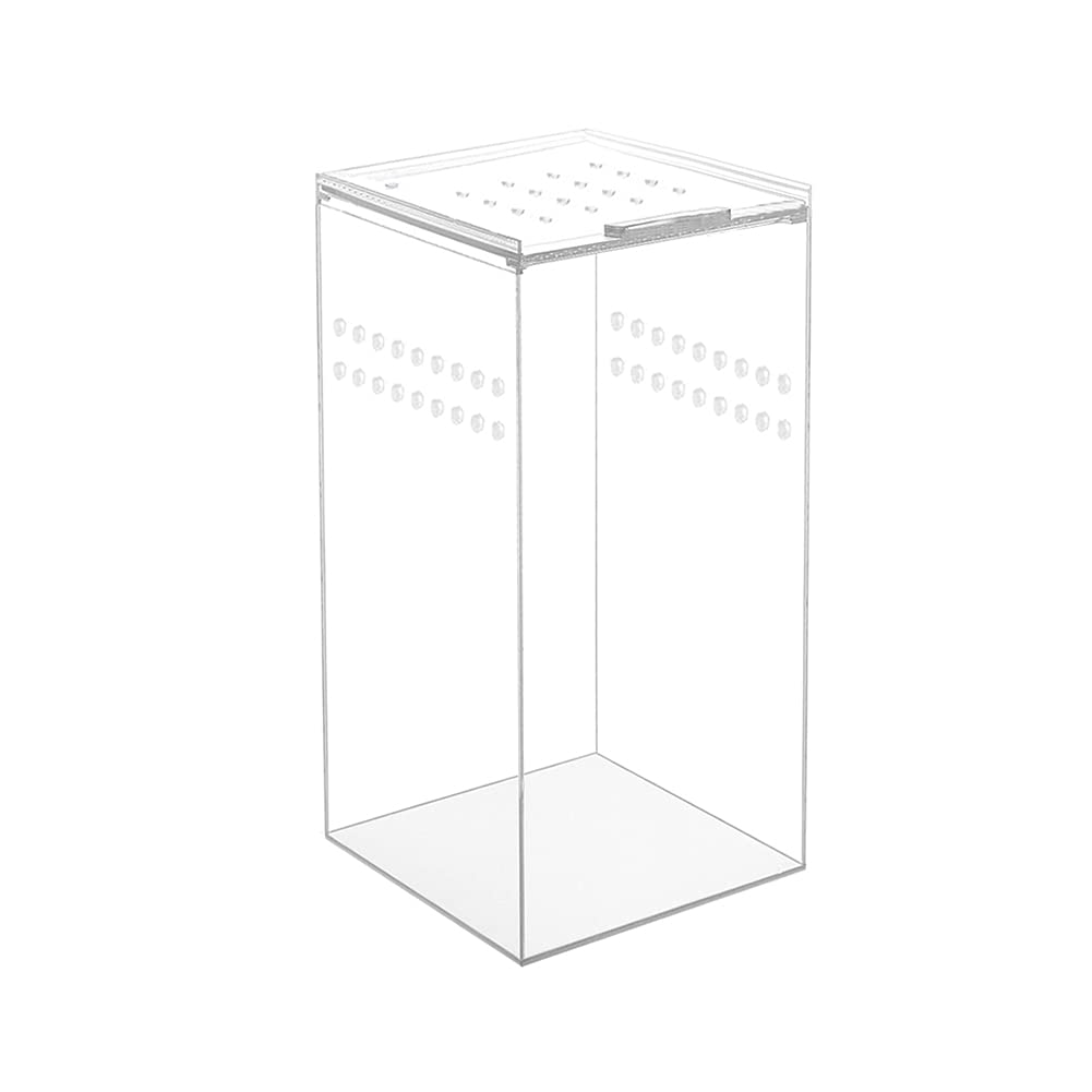 Arboreal Acrylic Box
