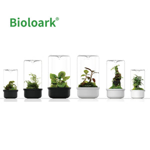 Bioloark - Bio Bottle MH Series