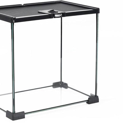 Open-Top Glass Terrarium (BT)