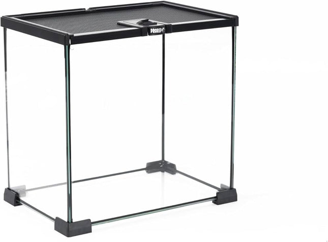 Open-Top Glass Terrarium (BT)