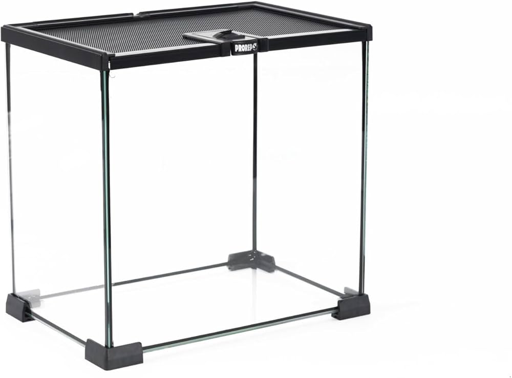 Open-Top Glass Terrarium (BT)