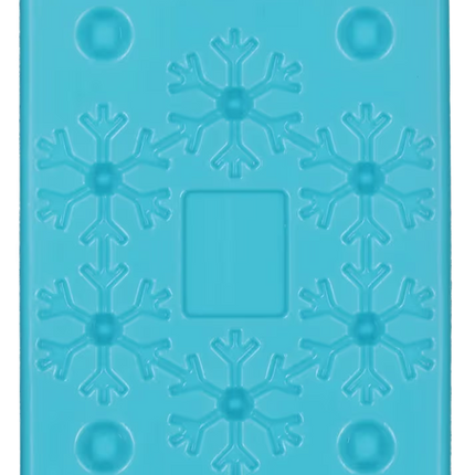 Poly Box and Ice Pack For Frozen Foods