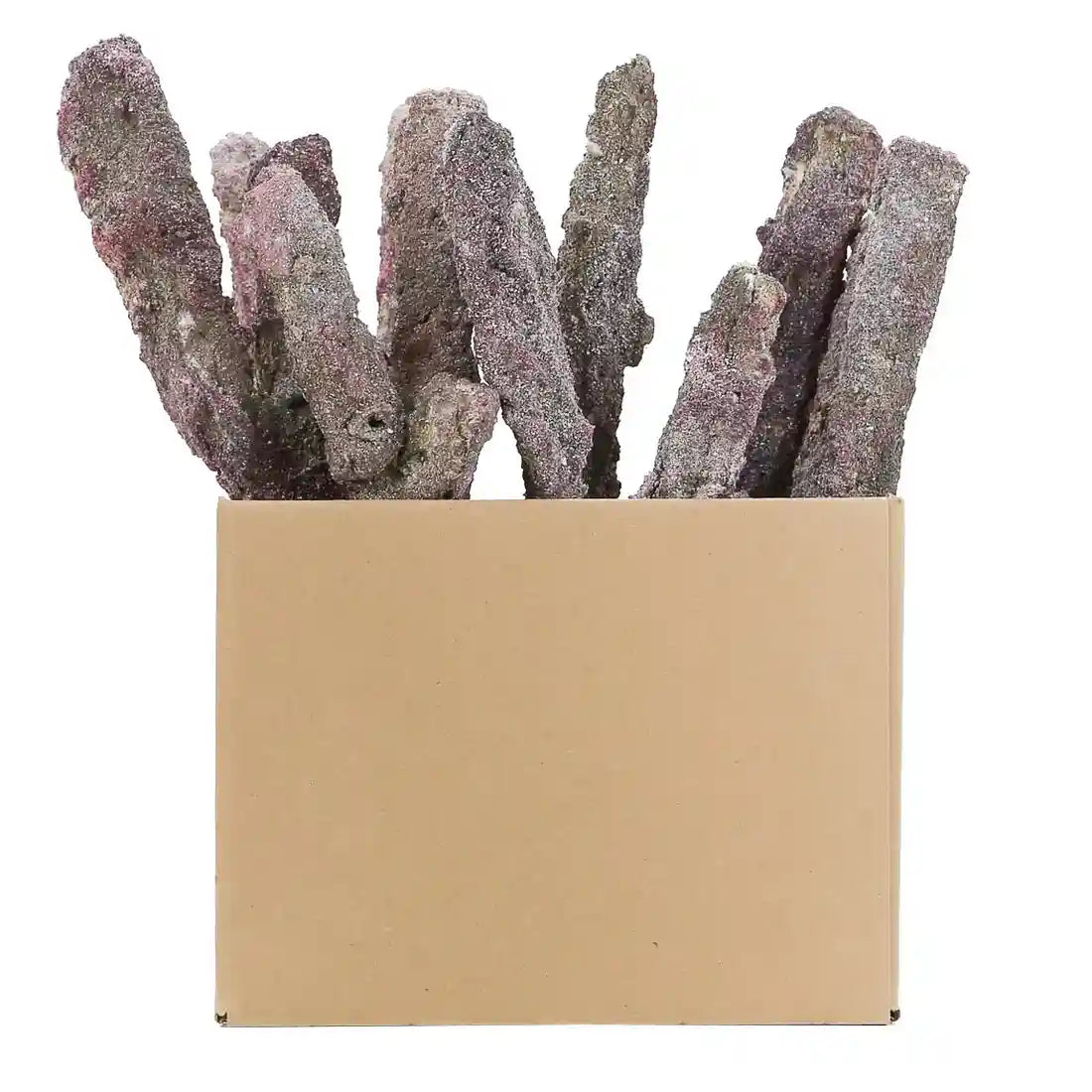 CARIBSEA - LIFEROCK BRANCH 9KG