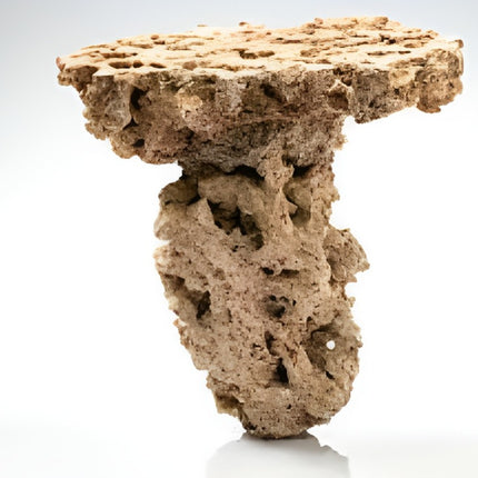 CARIBSEA - MOANI SHROOMS 11.3KG