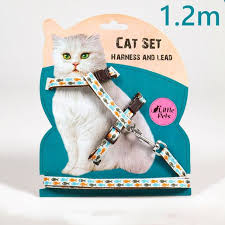 Cat Harness & Lead Set
