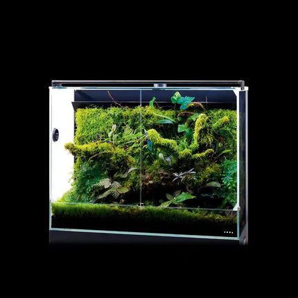 DOOA SYSTEM PALUDA 30