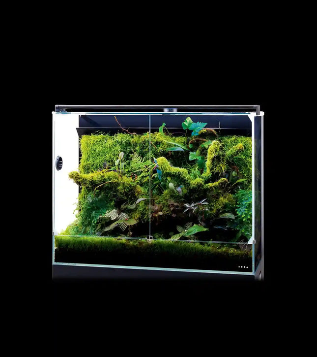 DOOA SYSTEM PALUDA 30