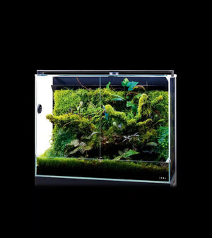 DOOA SYSTEM PALUDA 30
