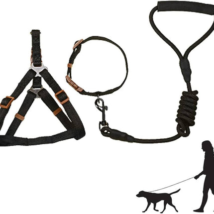 Dog Harness & Lead Set